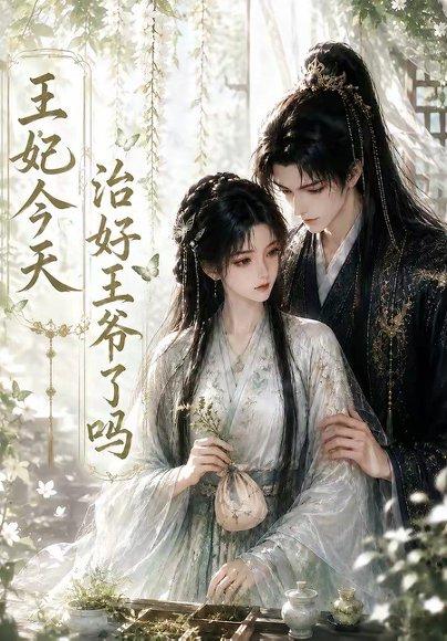 王妃今天治好王爷了吗（45集）（百度网盘）封面