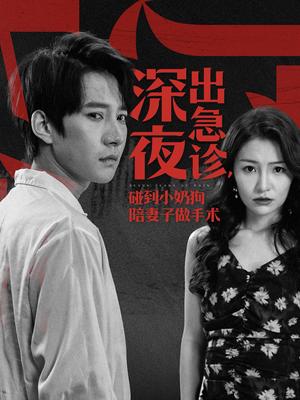 深夜出急诊碰到小奶狗陪妻子做手术（50集）白羽（夸克网盘）封面图 - 短剧短剧