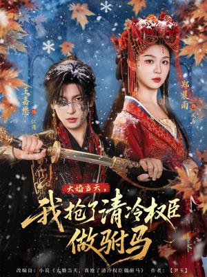 大婚当天，我抢了清冷权臣做驸马（73集）王嘉懋＆郑晨雨（夸克网盘）封面图 - 短剧短剧