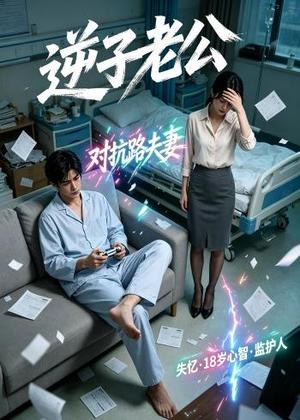 逆子老公（30集）（夸克网盘）封面