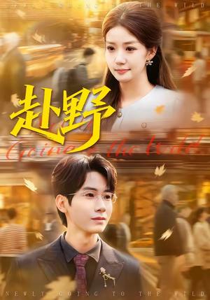 赴野（40集）宜樊＆丁珂丹（夸克网盘）封面图 - 短剧短剧