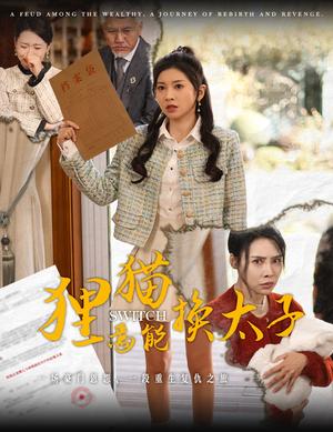 狸猫焉能换太子（30集）刘阜新＆田诗媛（夸克网盘）封面图 - 古装短剧