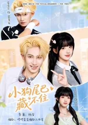 《小狗尾巴藏不住（40集）李欣然＆屈浩宇（夸克网盘）》短剧封面