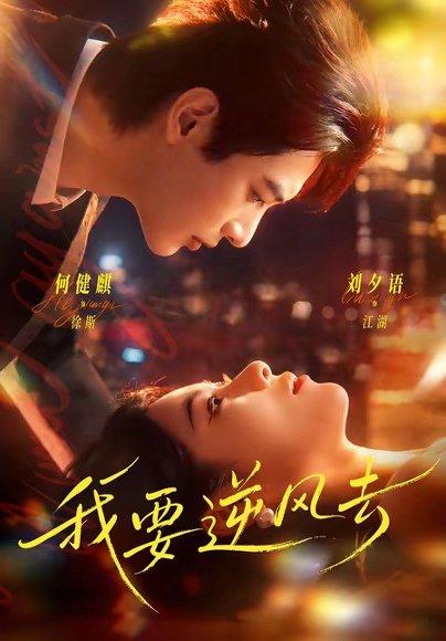 我要逆风去(74集)何健麒&刘夕语(百度网盘) 我要逆风去(74集)何健麒&刘夕语(百度网盘)封面