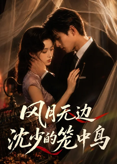 《风月无边，沈少的笼中鸟（58集）AI短剧 (2026)》短剧封面
