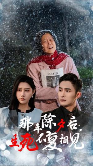 那年除夕后生死不复相见（48集）魏昕怡（夸克网盘）封面图 - 情感短剧