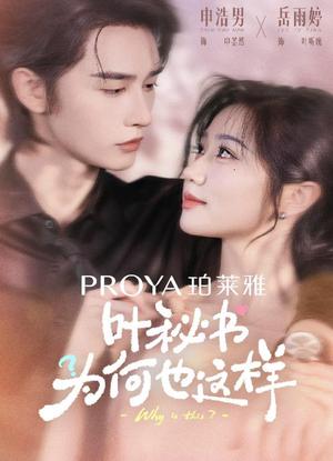 叶秘书为何也这样（6集全）申浩男＆岳雨婷（夸克网盘）封面图 - 短剧短剧