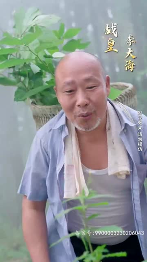 《我的老婆是超级美女（98集）》短剧封面