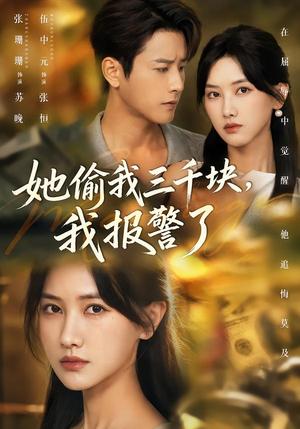 她偷我三千块,我报警了 《她偷我三千块,我报警了》短剧封面