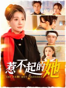 惹不起的她（106集）屈婉琼（夸克网盘）封面图 - 逆袭短剧