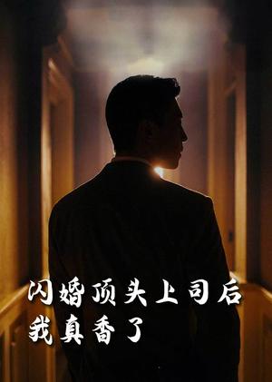 闪婚顶头上司后我真香了（80集）潘悦铭&刘星辰&攒攒&袁颖（夸克网盘）封面图 - 短剧短剧