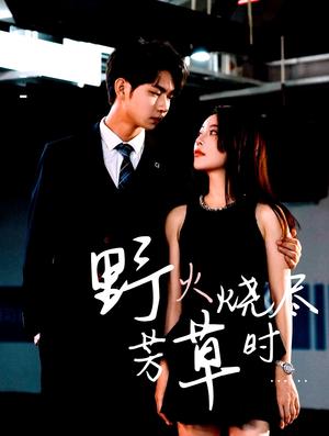 野火烧尽芳草时（65集）黄垚＆闫妍封面图 - 古装短剧