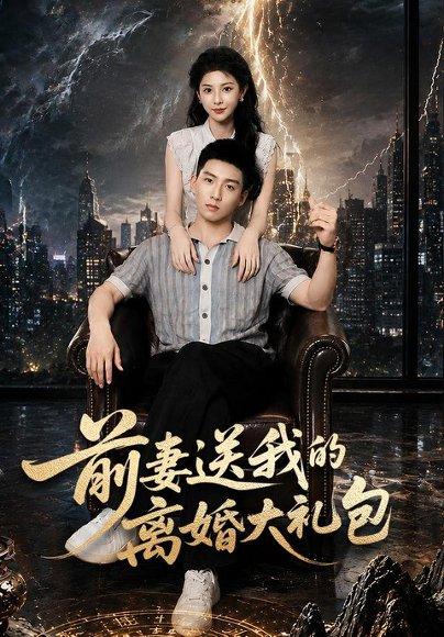 《前妻送我的离婚大礼包》短剧封面