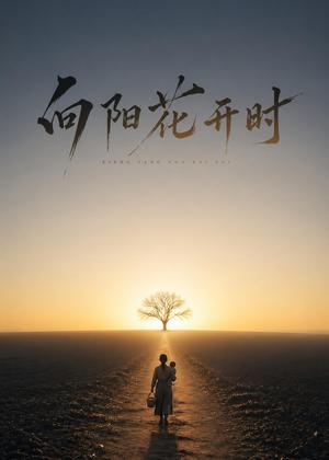 向阳花开时（30集）Ai短剧（夸克网盘）封面图 - 短剧短剧