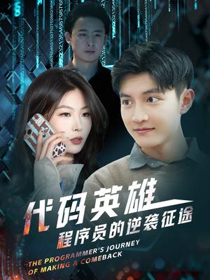 代码英雄程序员的逆袭征途（6集）（夸克网盘）封面图 - 职场短剧