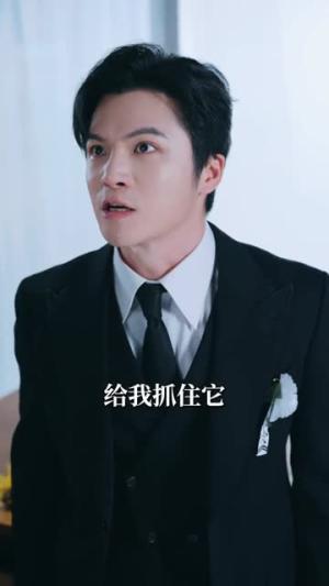 开局蚊子：进化成神（70集）何怡婷＆唐梓铭（夸克网盘）封面图 - 短剧短剧