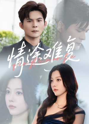 《情途难复（50集）》短剧封面