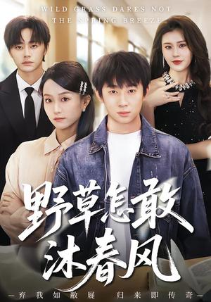 野草怎敢沐春风（61集）王楚＆周瑾阳（夸克网盘）封面图 - 爱情短剧