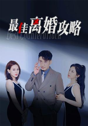 十年后我与霸总再续前缘（30集）（夸克网盘）封面图 - 短剧短剧