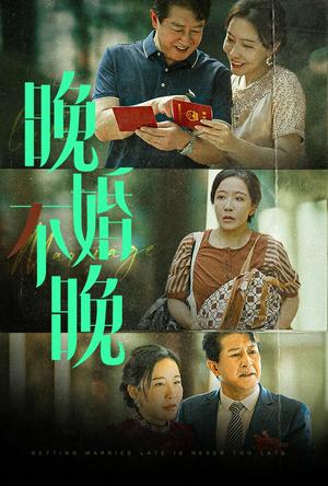 晚婚不晚（30集）（夸克网盘）封面图 - 短剧短剧