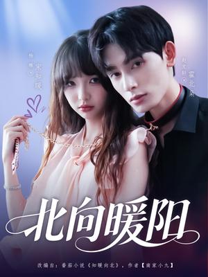 北向暖阳（80集）赵文轩＆杨琳封面图 - 都市短剧