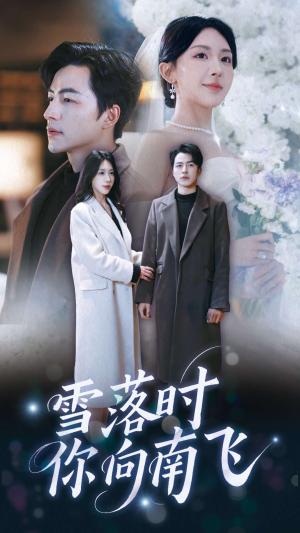 雪落时你向南飞（34集）吴昊＆房蕾（夸克网盘）封面图 - 都市短剧