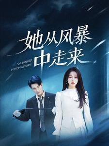 她从风暴中走来（60集）孙博文＆路文卓（夸克网盘）封面图 - 励志短剧