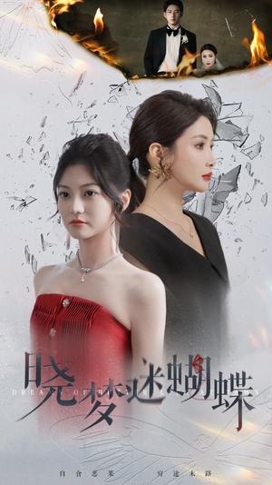 晓梦迷蝴蝶（76集）（夸克网盘）封面图 - 古装短剧