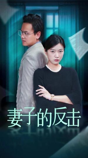 妻子的反击&消失的爱人（27集）（夸克网盘）封面