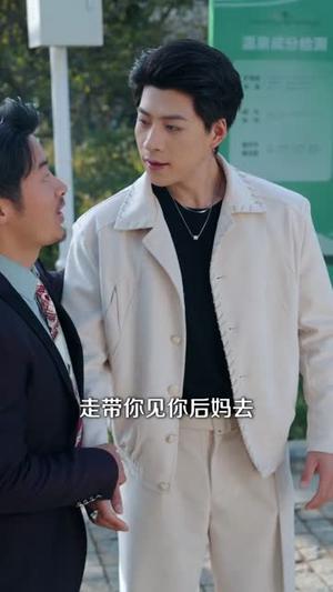 老爸嫁入豪门后（80集）王为洋＆席文君（夸克网盘）封面