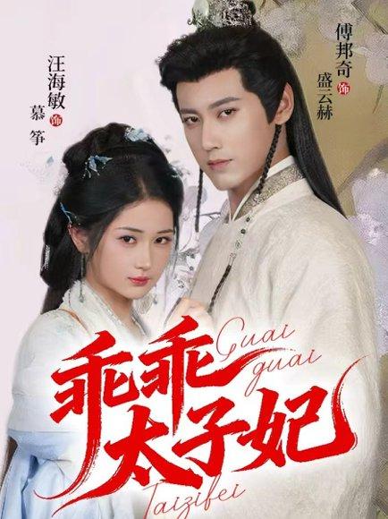 乖乖太子妃（64集）傅邦奇＆汪海敏封面图 - 古装短剧
