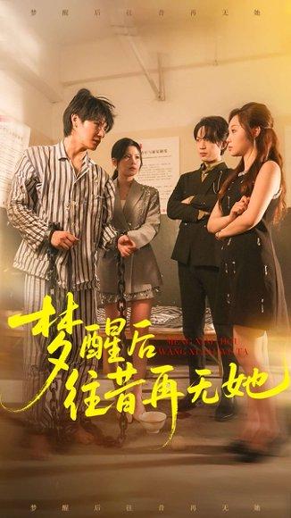 梦醒后往昔再无她（84集）封面图 - 剧情短剧