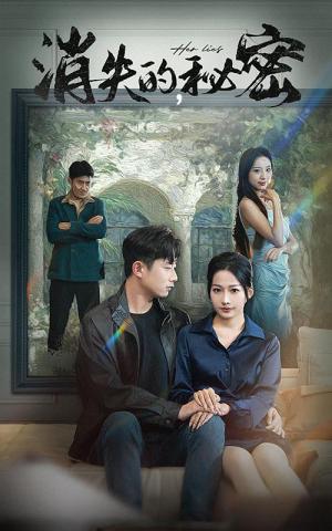 消失的秘密（35集）（夸克网盘）封面图 - 短剧短剧