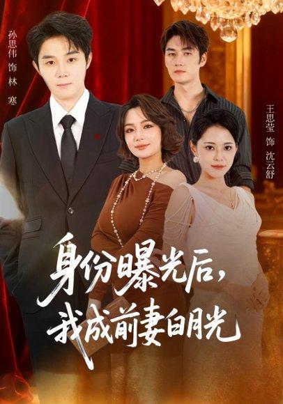 身份曝光后，我成前妻白月光&隐婚三年，我让前妻高攀不起（85集）封面