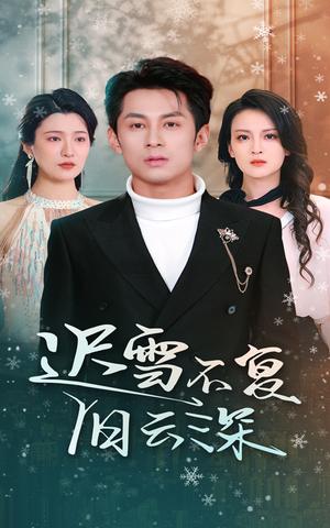 迟雪不复旧云深（45集）伍怡（夸克网盘）封面图 - 古装短剧