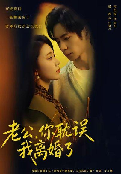 老公，你耽误我离婚了（70集）何怡婷&杨霖&邓卓（百度网盘）封面