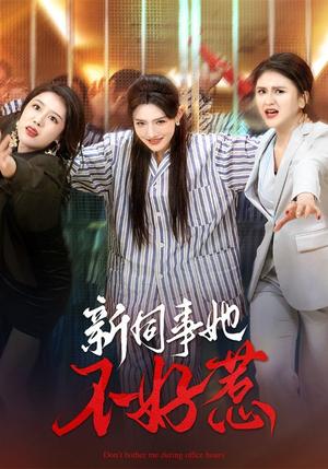 新同事她不好惹（37集）常丹丹&钟莹玲（夸克网盘）封面图 - 短剧短剧