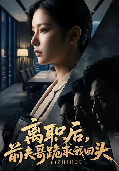 离职后，前夫哥跪求我回头（80集）（百度网盘）封面图 - 爱情短剧