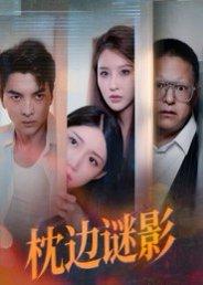 枕边谜影&我撞破了妻子的秘密（35集）张婳&朱宣甫封面