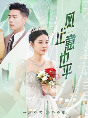 风止意也平（41集）陈文君&艾可旦（夸克网盘）封面