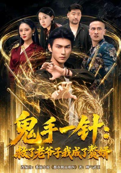 鬼手一针:救了老爷子我成了赘婿(80集)周朕&宋宇欣(百度网盘) 鬼手一针:救了老爷子我成了赘婿(80集)周朕&宋宇欣(百度网盘)封面