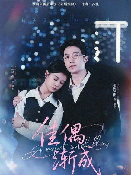 佳偶渐成（71集）张逸伦＆王宇婧封面图 - 都市短剧