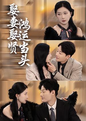 娶妻娶贤鸿运当头（62集）（夸克网盘）封面