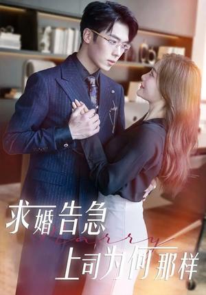 求婚告急上司为何那样（70集）孟璐&卡戎（夸克网盘）封面图 - 年代短剧