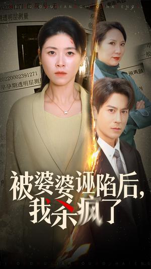 被婆婆诬陷后我杀疯了（30集）诸玲颖（夸克网盘）封面图 - 短剧短剧