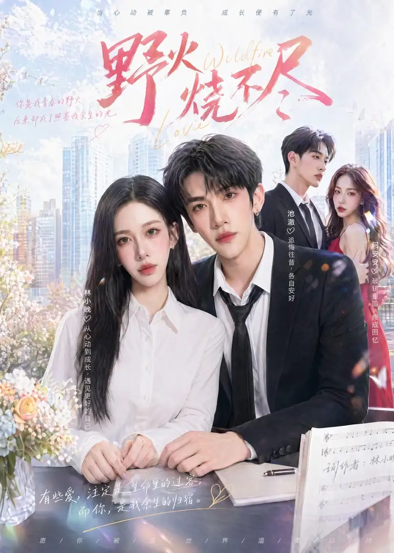 《野火烧不尽(40集)(夸克网盘)》短剧封面