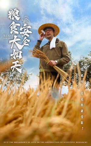 粮食安全大如天（43集）程娜（夸克网盘）封面图 - 农村短剧