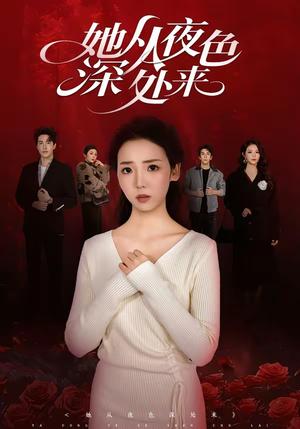 她从夜色深处来（62集）李海蒂＆刘小龙（夸克网盘）封面