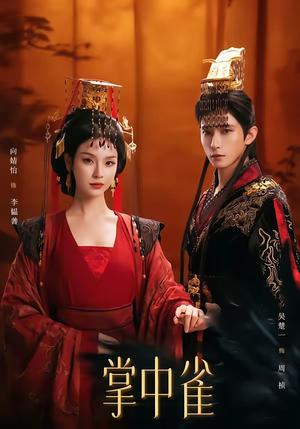 掌中雀（80集）吴楚一＆向婧怡（夸克网盘）封面图 - 短剧短剧