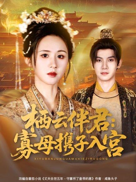 栖云伴君寡母携子入宫（89集）吴宇航＆书雪漫封面图 - 古装短剧